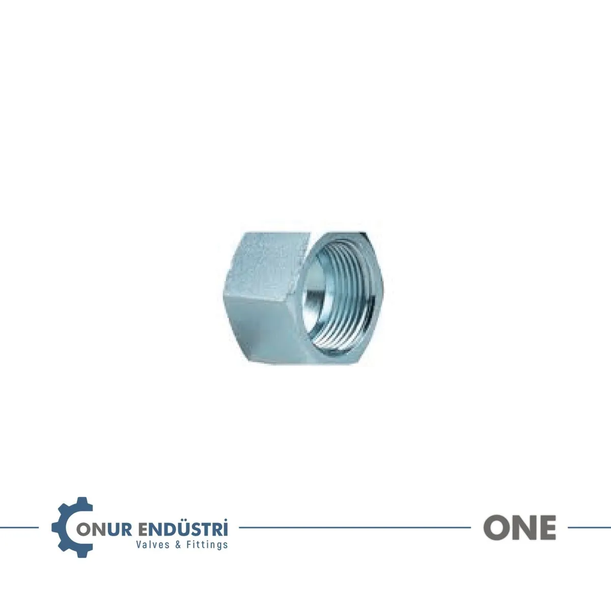 İç Dişli Kör Tapa (Galvanizli)