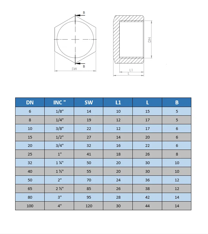 İç Dişli Kör Tapa (Paslanmaz)